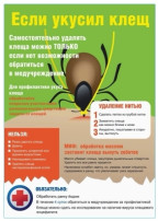 Осторожно - клещ! Осторожно - клещ!.