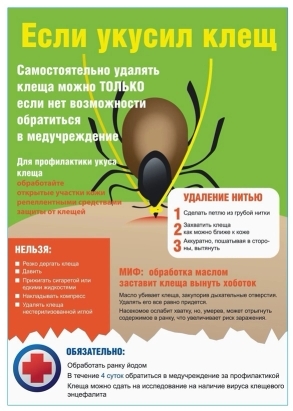 Осторожно - клещ! Осторожно - клещ!.